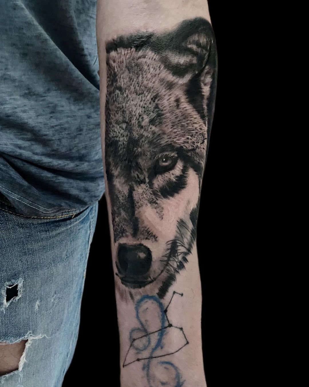 Tatuaggio lupo realistico